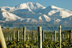 Mendoza
