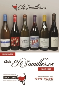 1ºLote Club de vinos El Sumiller