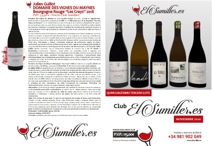53º Lote Noviembre 2020 Club de vinos El Sumiller