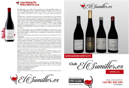 55º Lote Enero 2021 Club de vinos El Sumiller