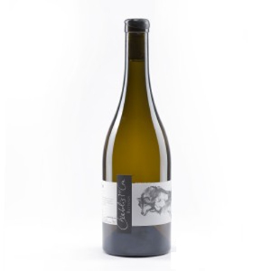 Domaine Pattes Loup Chablis 1er Cru Butteaux 2017