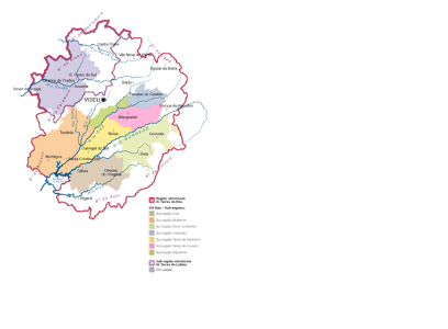 TEXTURA WINES PURA Branco 2019