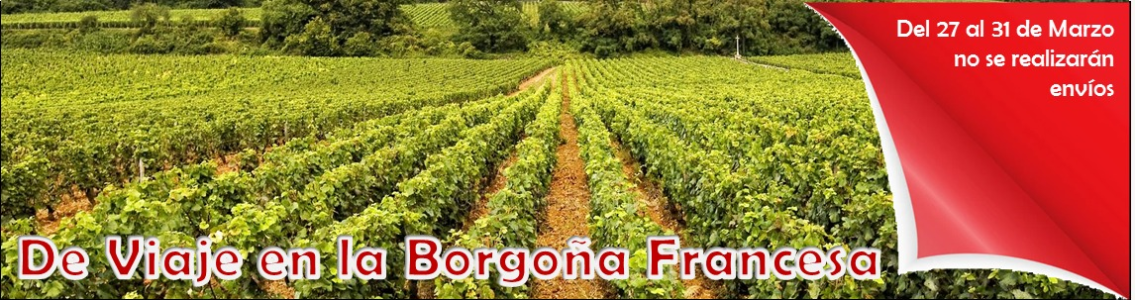 Borgoñavacaciones