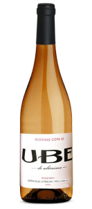 Ramiro Ibáñez Cota 45 UBE Miraflores 2022