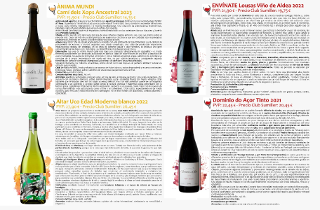 79º Lote Julio 2024 Club de vinos El Sumiller