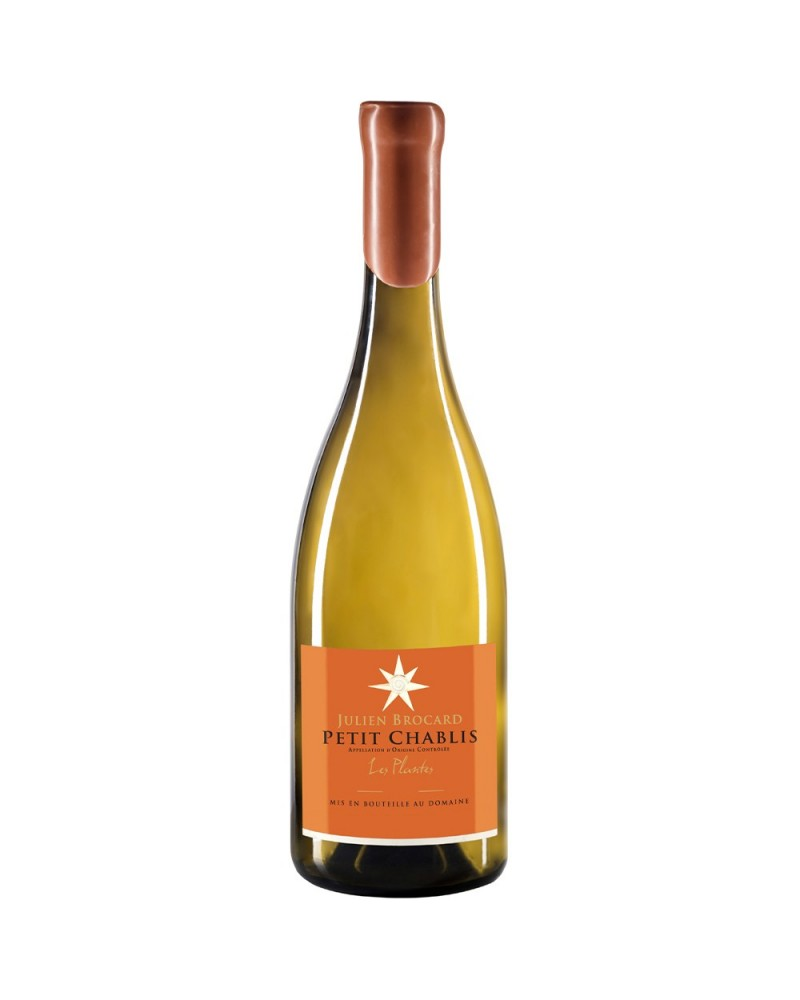 Julien Brocard Petit Chablis Les Plantes 2022
