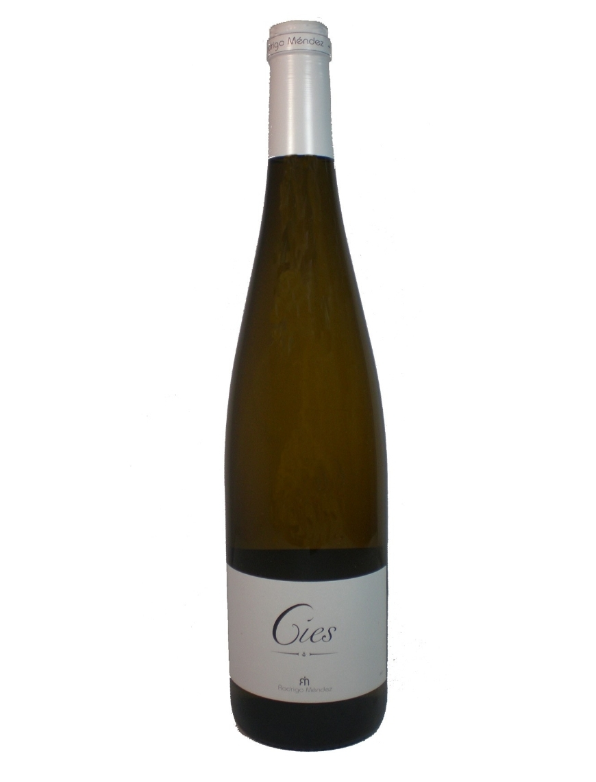 Rodrigo M&eacute;ndez Albari&ntilde;o C&iacute;es 2024