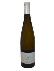 Rodrigo Méndez Albariño Cíes 2024