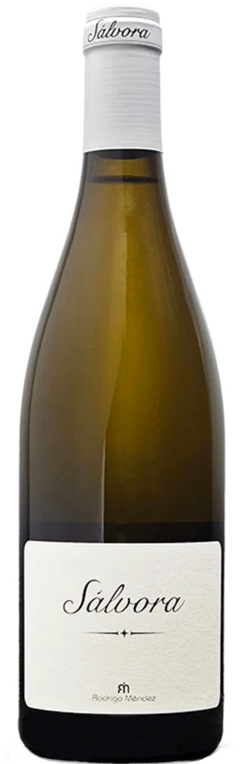 Rodrigo M&eacute;ndez Albari&ntilde;o S&aacute;lvora 2023